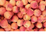 Lemon Peachy
