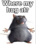 Stuffy_group