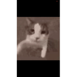 Giving roux to u lol