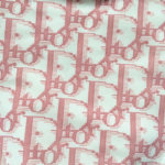 dior’s aesthetic