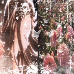 ♡︎