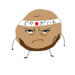 The Chakra Potato's