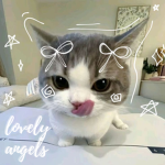 *• lovely angels •*