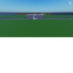 Capture the flag