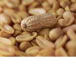 Peanut Co