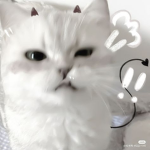 ᴘ ᴜ ʀ ɪ ᴛ ʏ _