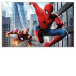 spider iron