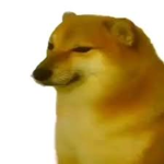 RobiMilsonx