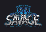 SAVAGE 1M