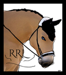 -RIVER RIDER LEAGUE-