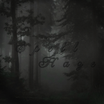 SpellHaze Co.