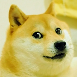 FPSdoge777