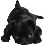 RAMPUG