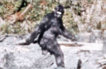 Bigfoot Bigfoot Bigfoot