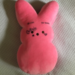 Bunny Posse