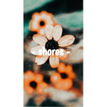 - shores -