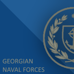 Georgian Naval Forcesᅠ