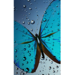 < Blue Butterflies >