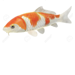 The super fish