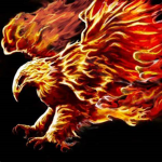 The Empire Of The Phoenix Feather