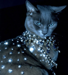Glamouré