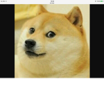 Attack doges
