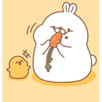 초만쏘동