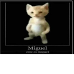Los primis 7u7