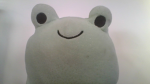 BOGGLESDAFROG