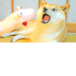 The Shibes of ROBLOX