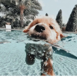 Cute fun