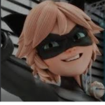 The cat noir hot group