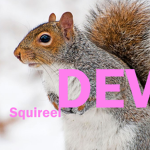 Squireel Dev