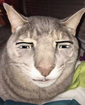Cosmos Can