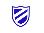 11th Maneuver Division [11th MD]