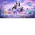 BLACKPINK sparkles