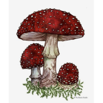 setas bonitas