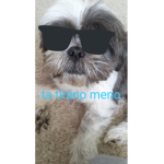 ta tirano meno