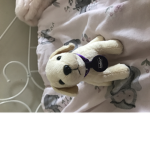 #dog teddy nation