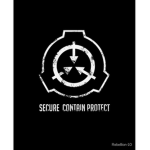 SPY copreration.