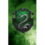 Thedragon_group