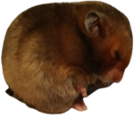 eepy Club