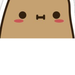 The bag of potatos