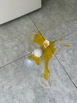 EggPire_