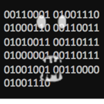 ▓▓▓▓▓▓▓▓▓▓▓▓▓▓▓▓▓▓