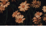 *Leahs Aesthetic group*