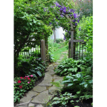 The Garden Of Healing