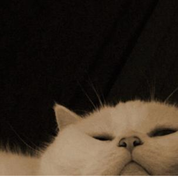 Not my Place (original)