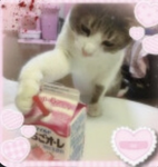Tea~pie