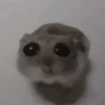 Lionel pro